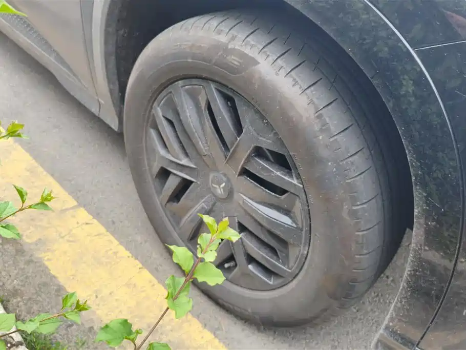 Hongqi 08 2025 730