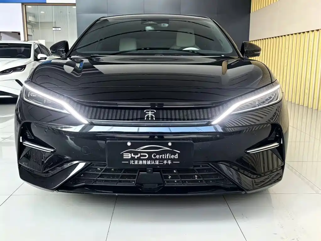 BYD L EV — миниатюра 2