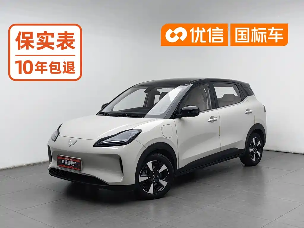 Wuling Bingo PLUS