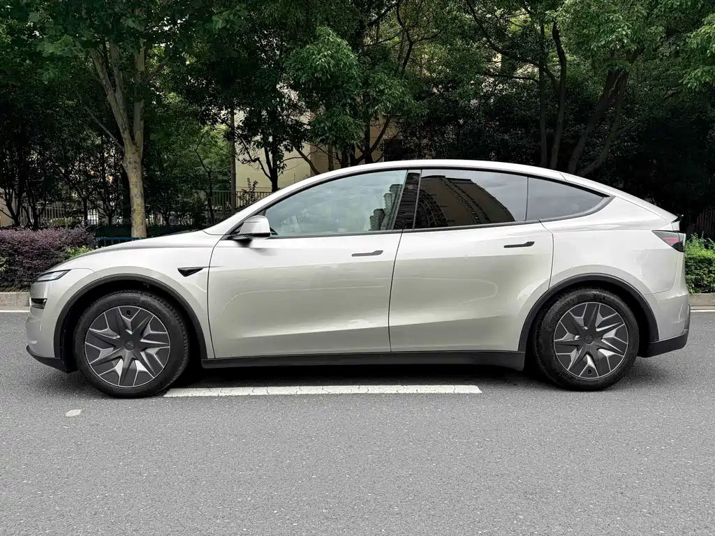 Tesla Model Y L