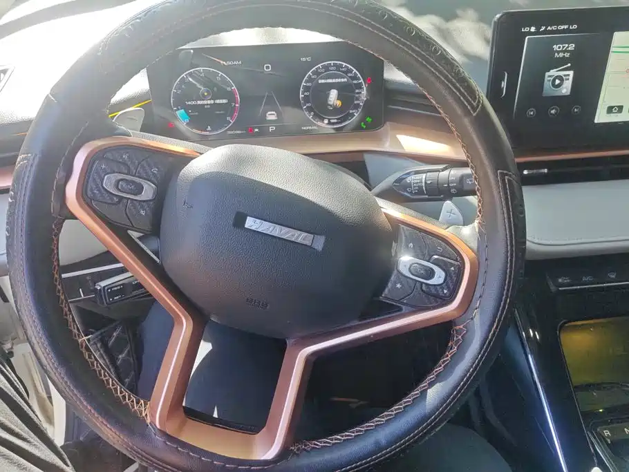 Haval H6 — миниатюра 15