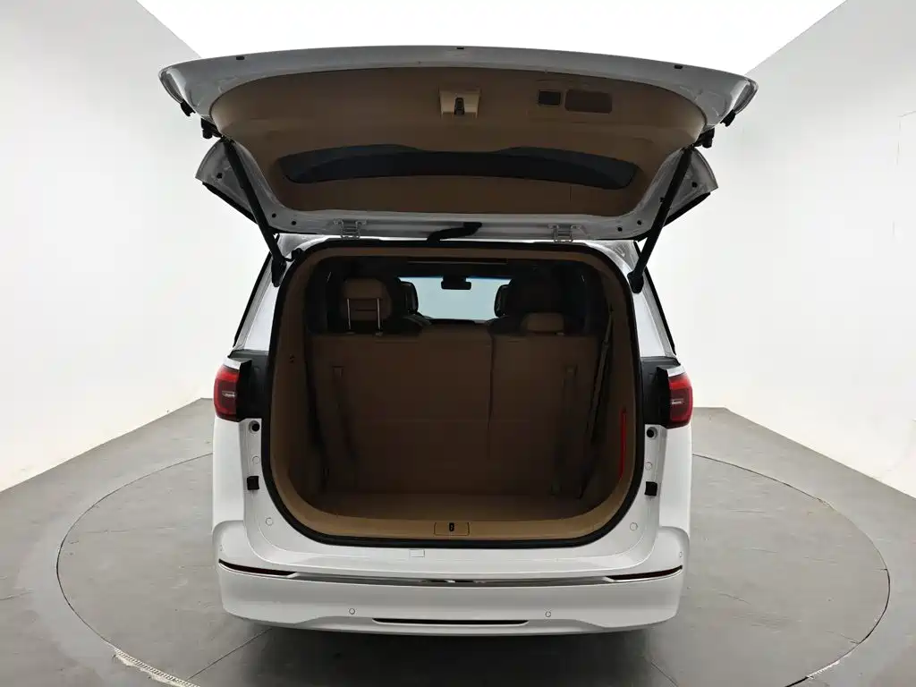 Buick GL8 — миниатюра 8