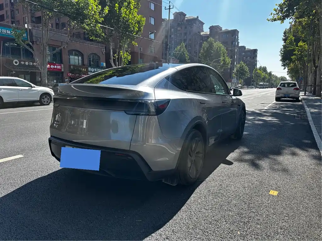 Tesla Model Y — миниатюра 4