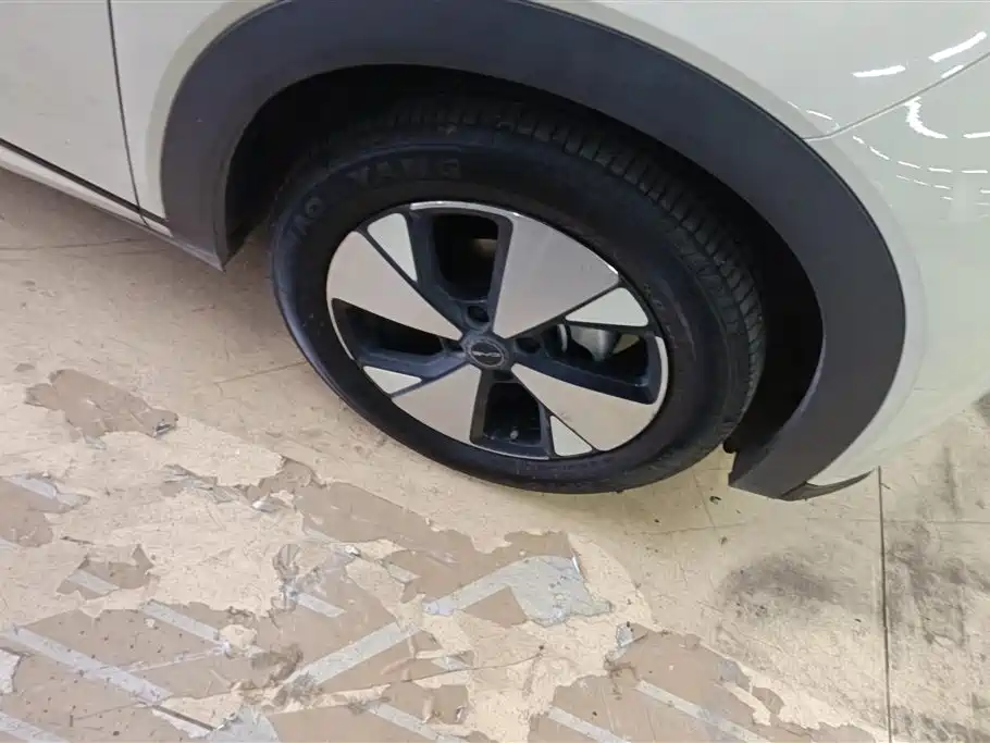 BYD Dolphin 2023 420km Fashion