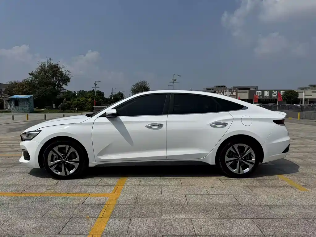 Hyundai Fista — миниатюра 4