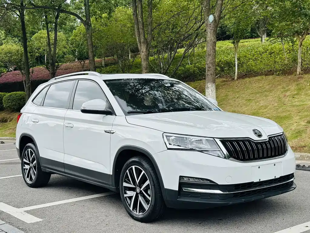 Skoda Kamiq — миниатюра 3