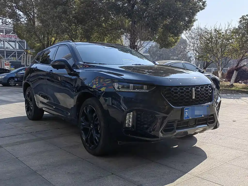 WEI PAI WEI BRAND VV7