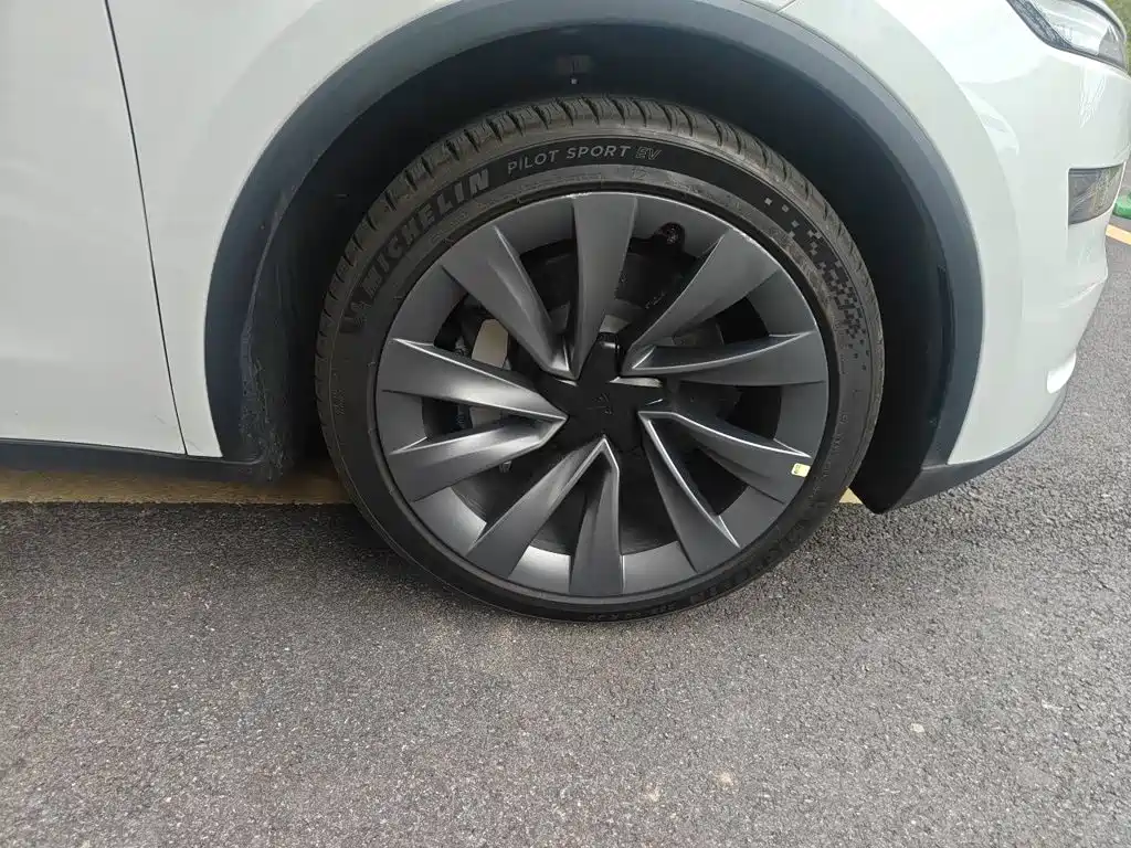 Tesla Model Y — миниатюра 24