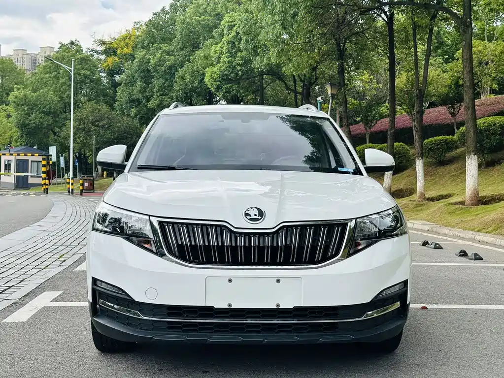 Skoda Kamiq — миниатюра 2