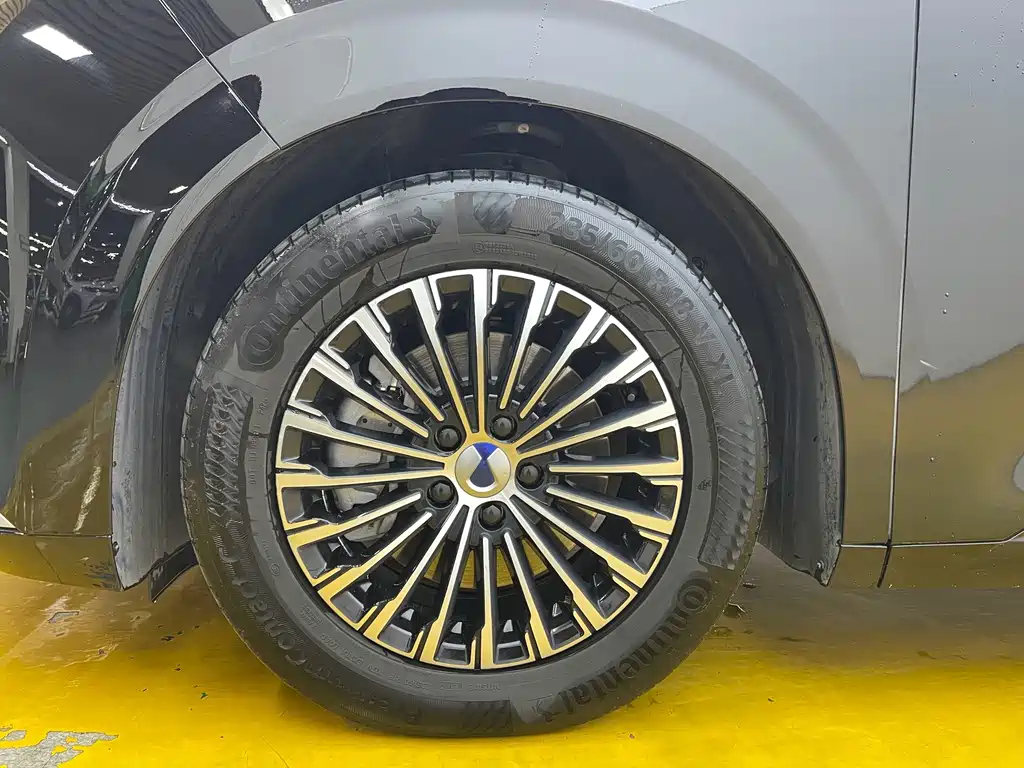 Denza Denza D9 — миниатюра 7