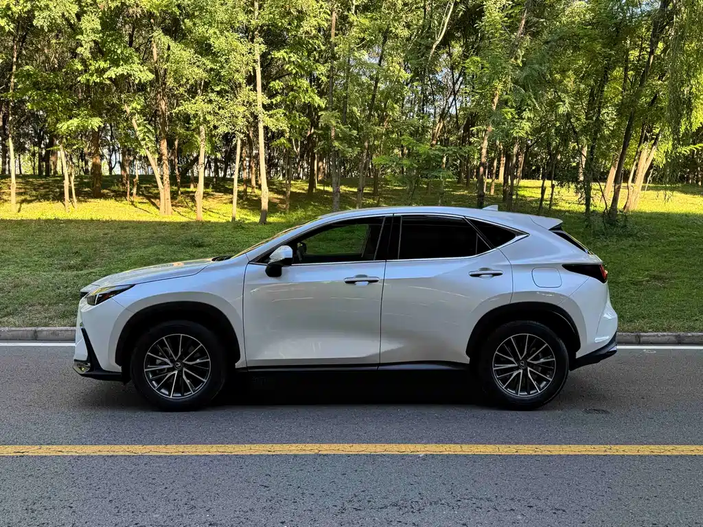 Lexus NX — миниатюра 3