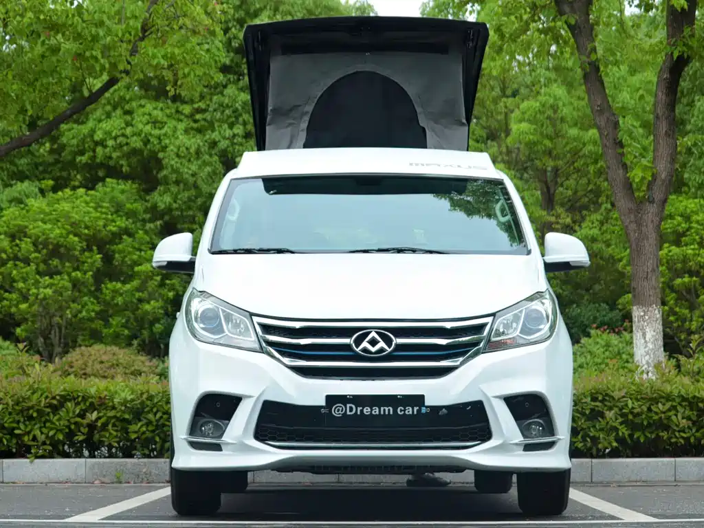 SAIC MAXUS RG10 2019 2.0TGI