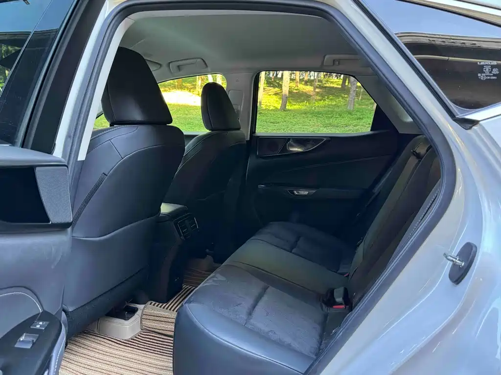 Lexus NX — миниатюра 8
