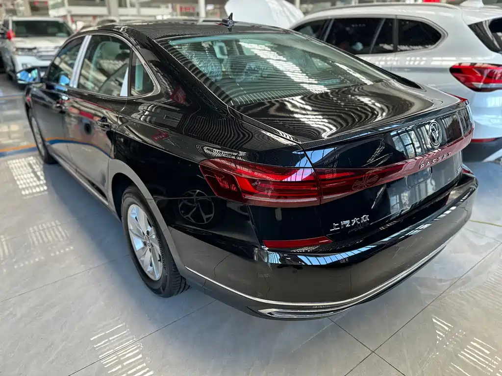 Volkswagen Passat — миниатюра 13