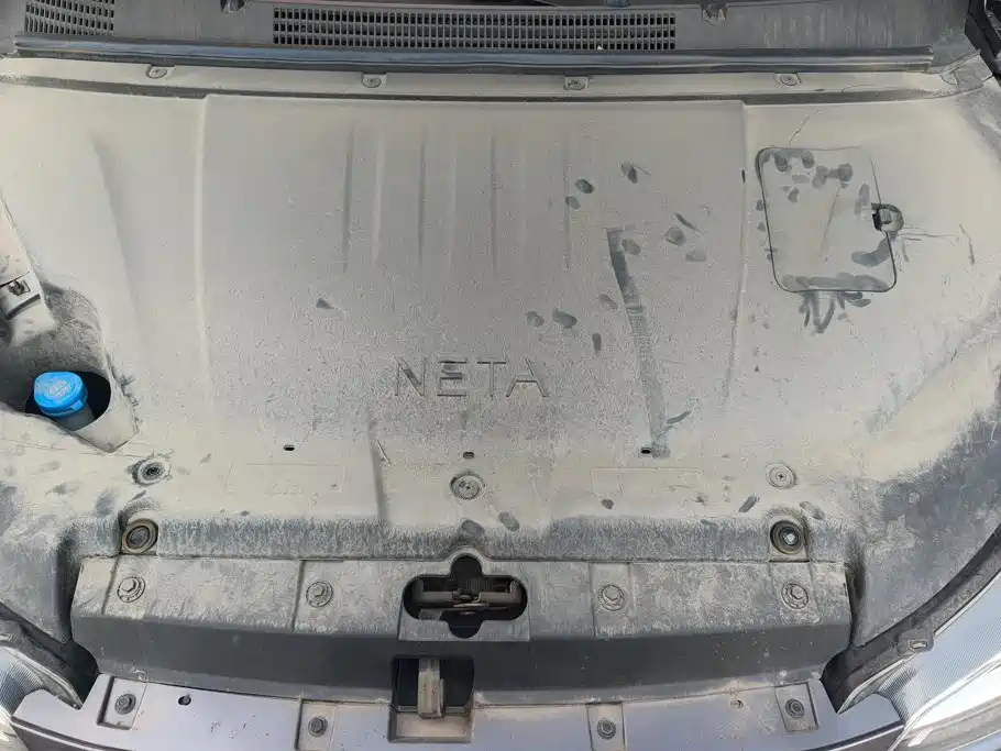 Neta Neta V — миниатюра 10