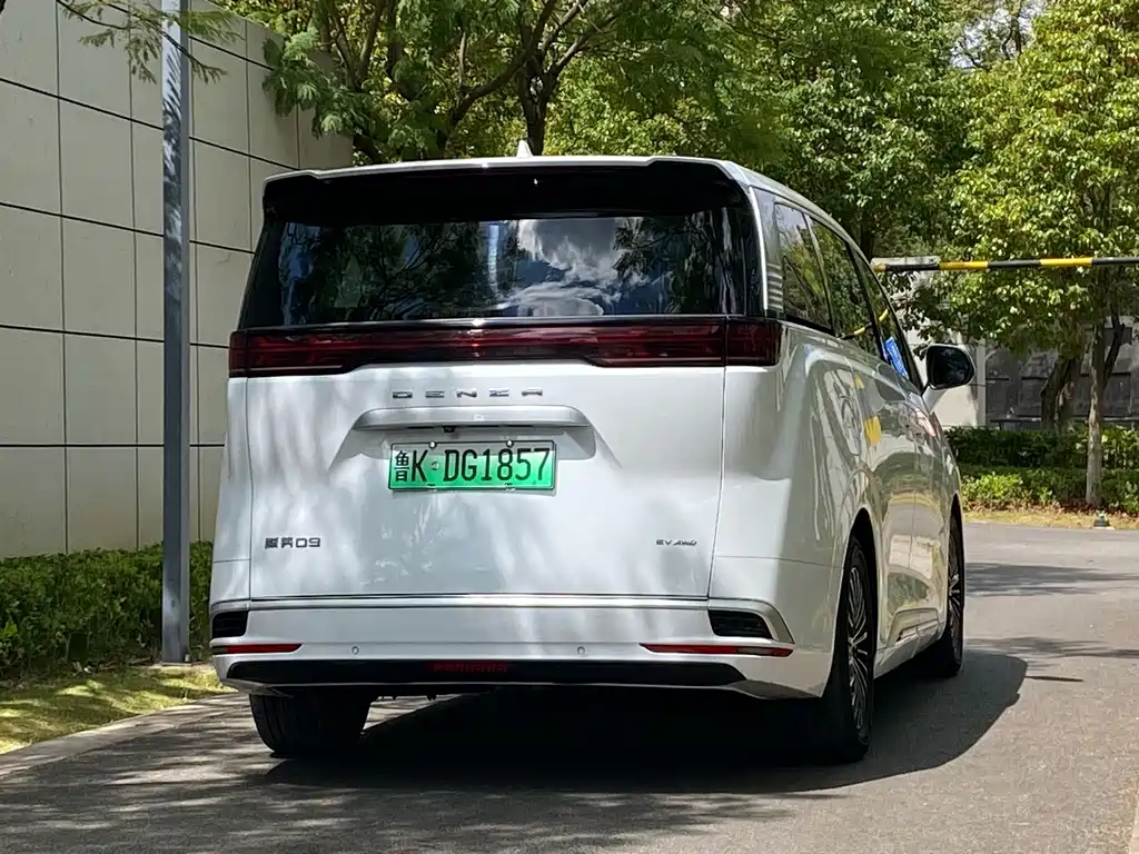 Denza Denza D9 — миниатюра 4