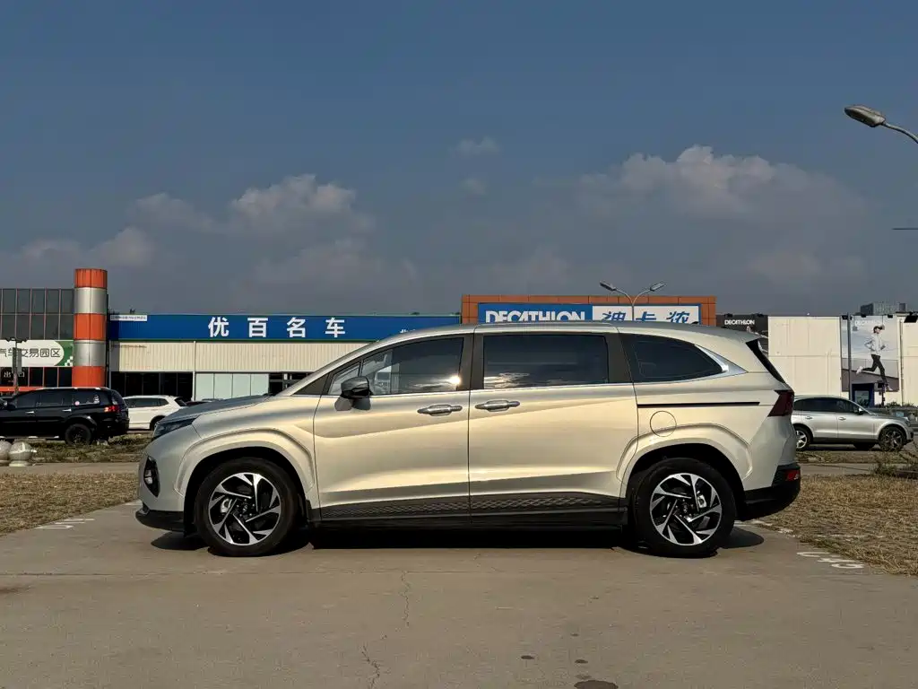 Hyundai Custo — миниатюра 7