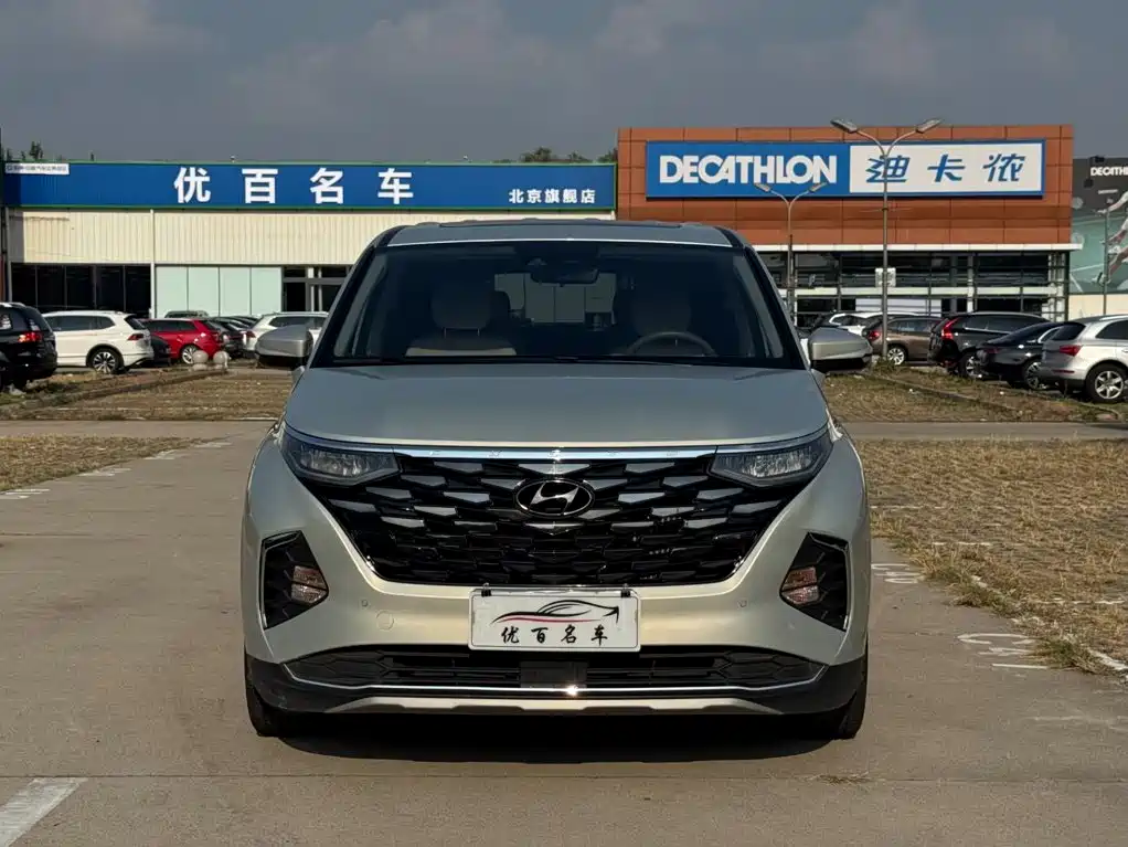Hyundai Custo — миниатюра 2