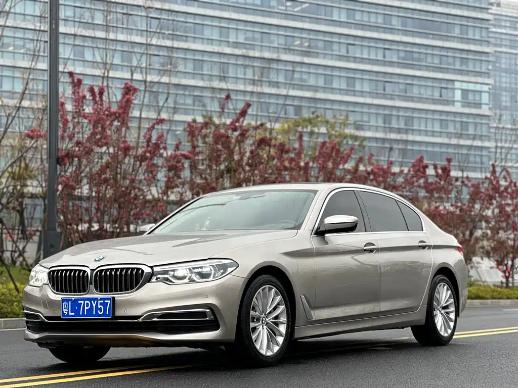 BMW 5 Series 2019