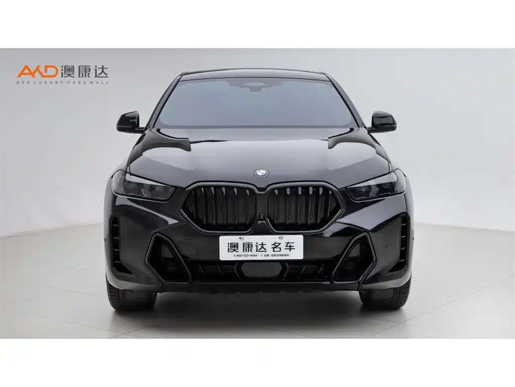 BMW X6 2023 xDrive40i Premium M Sport