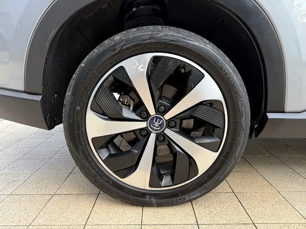 BYD SONGJIANG NEW ENERGY