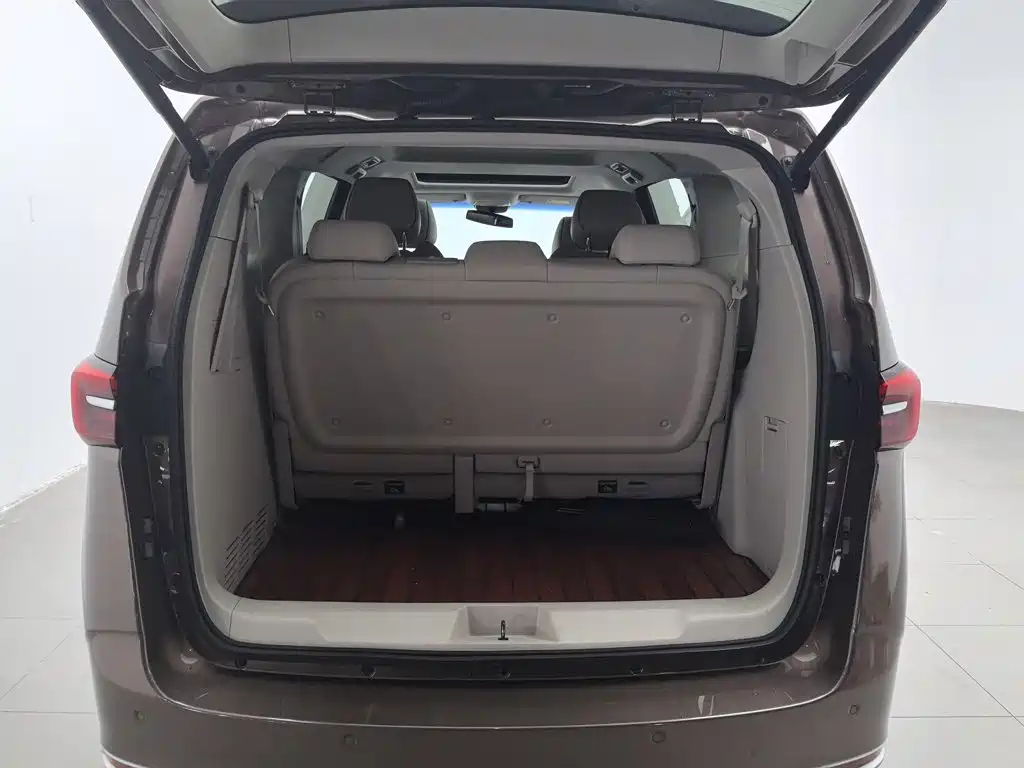 Buick GL8 — миниатюра 16