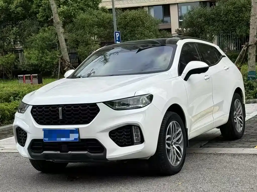 Wey Wey VV5 2018