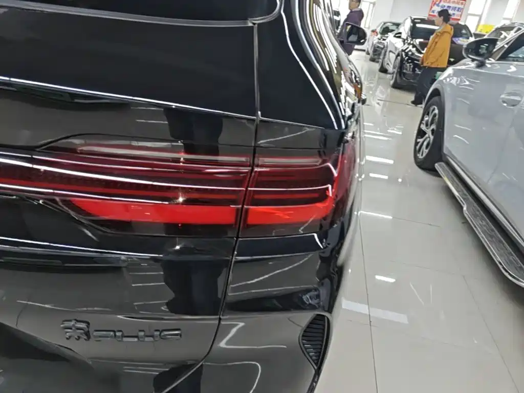BYD PLUS New Energy — миниатюра 8
