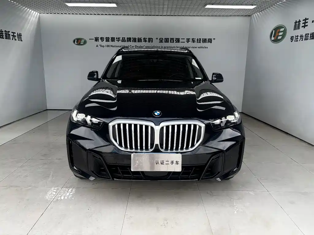 BMW X5 — миниатюра 3