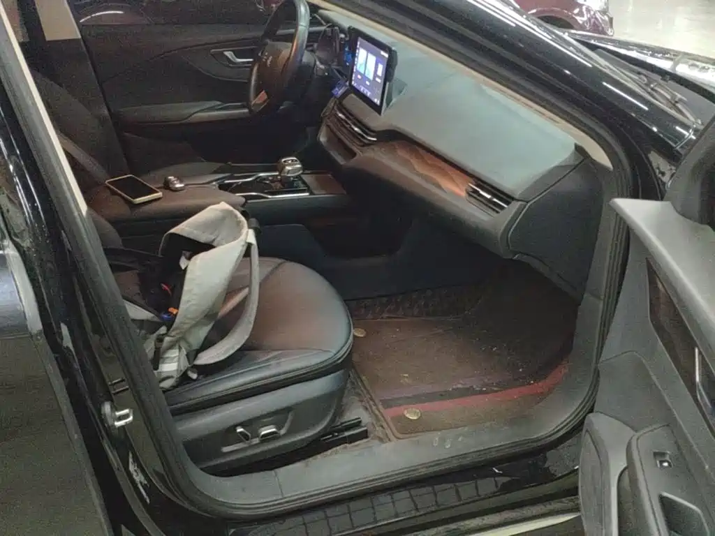 Hongqi Hongqi E-QM5 — миниатюра 25