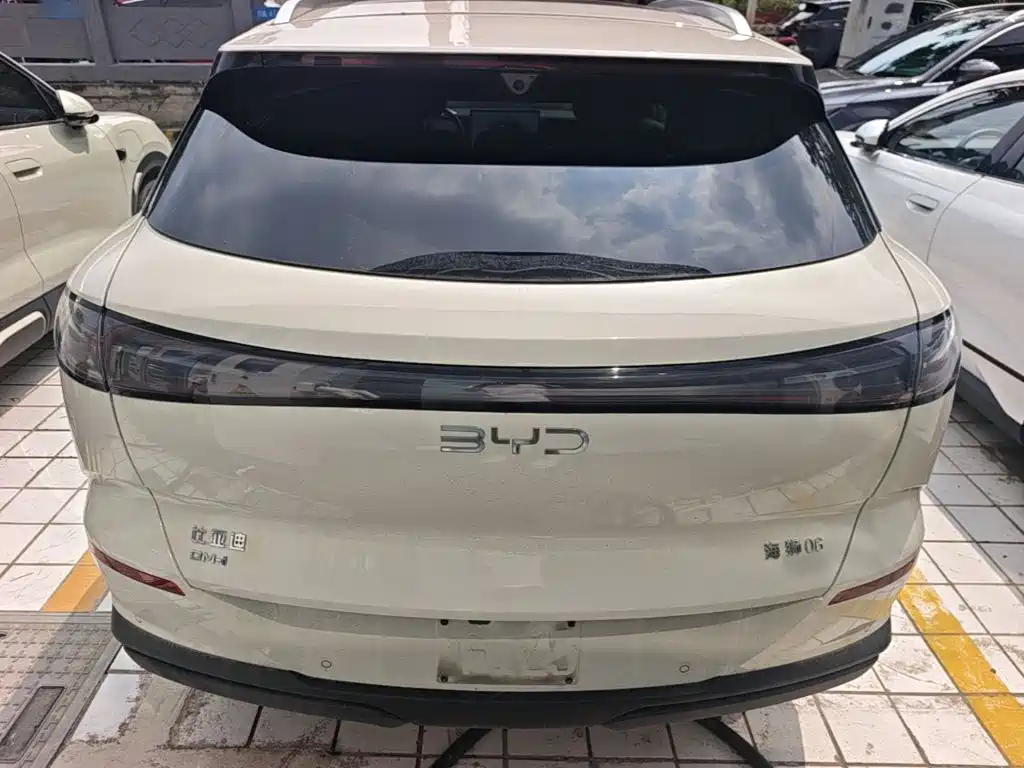 BYD Sea Lion 06 06 2025 DM-i 205 Pro