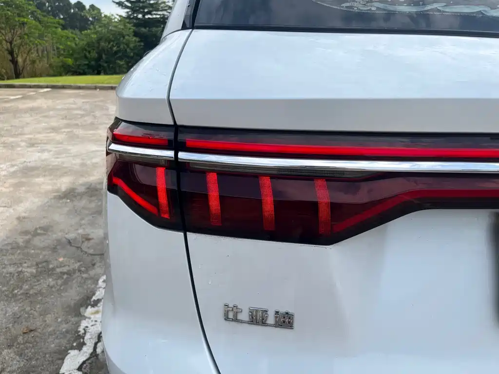 BYD Pro — миниатюра 10