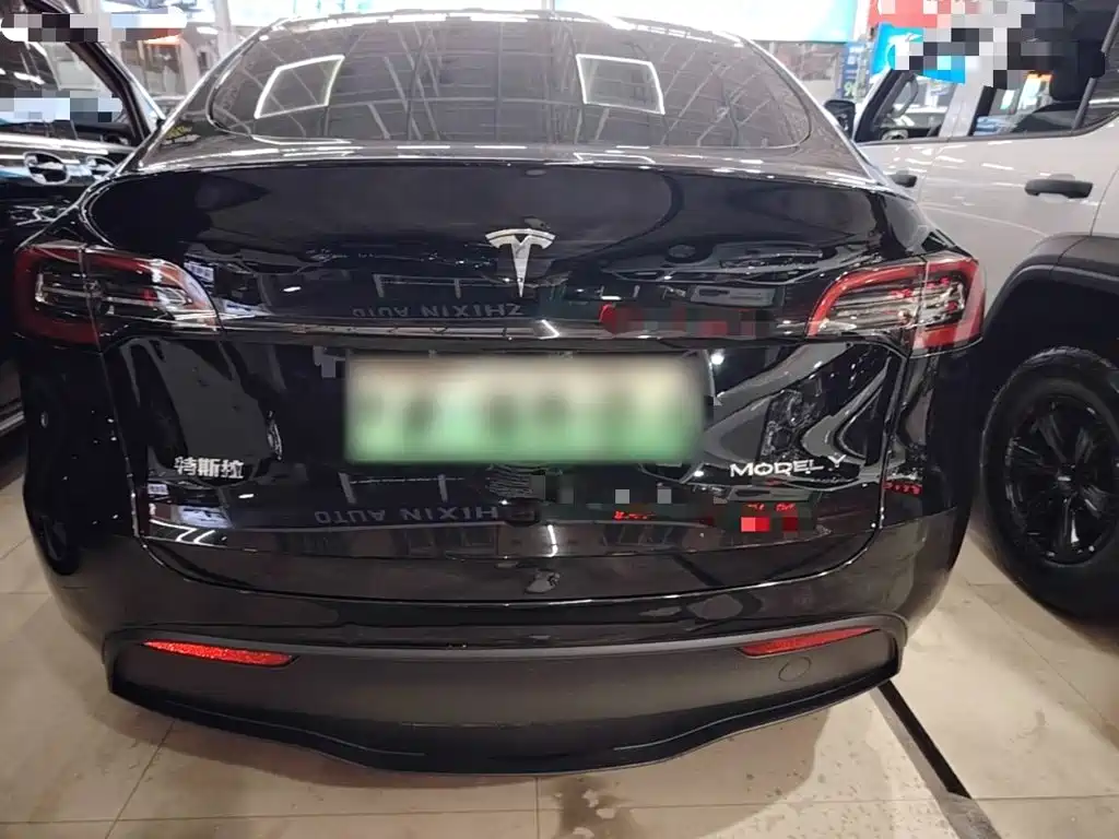 Tesla Model Y — миниатюра 6