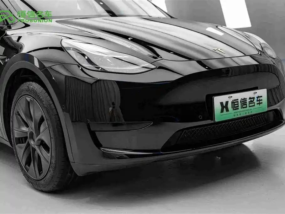 Tesla Model Y — миниатюра 9