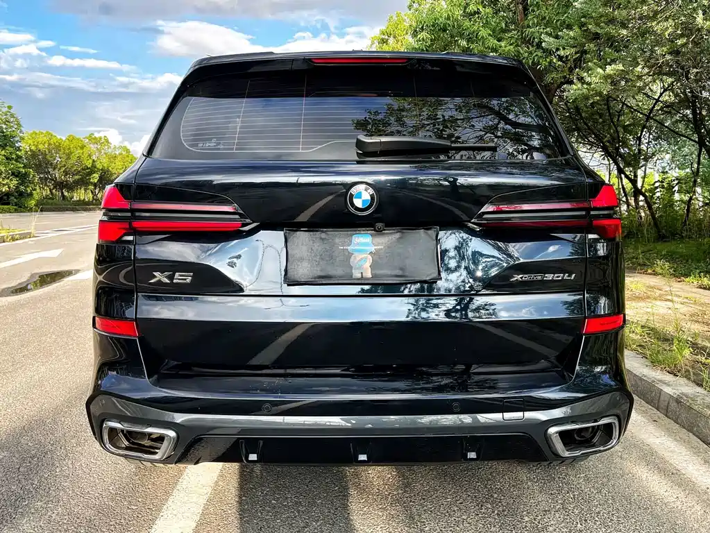 BMW X5 — миниатюра 4