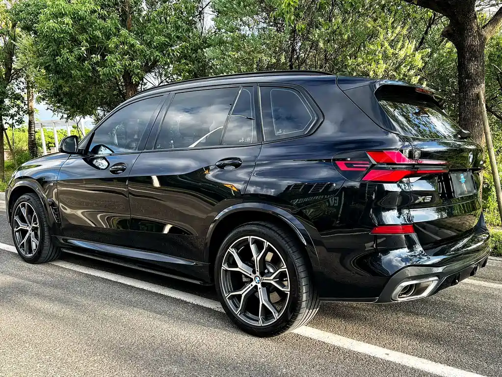 BMW X5 — миниатюра 5