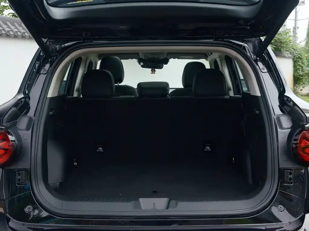 Haval Big Dog PLUS — миниатюра 15