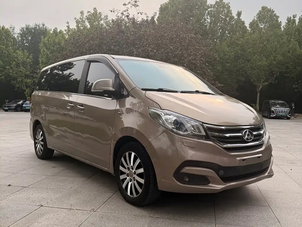 Maxus G10 2.0T Auto Luxury Executive Edition, фото 8