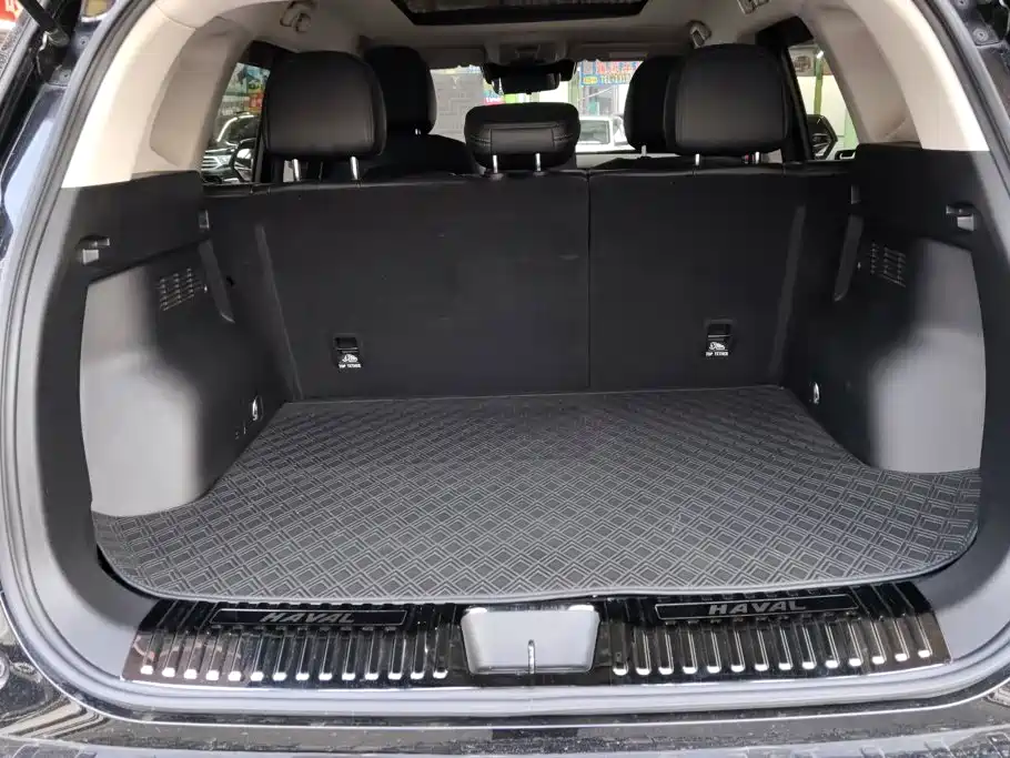 Haval Big Dog PLUS — миниатюра 4