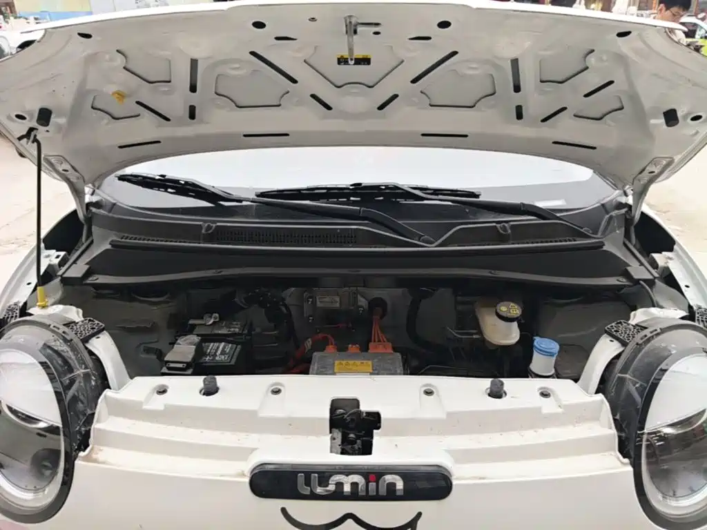 Qiyuan Lumin — миниатюра 20