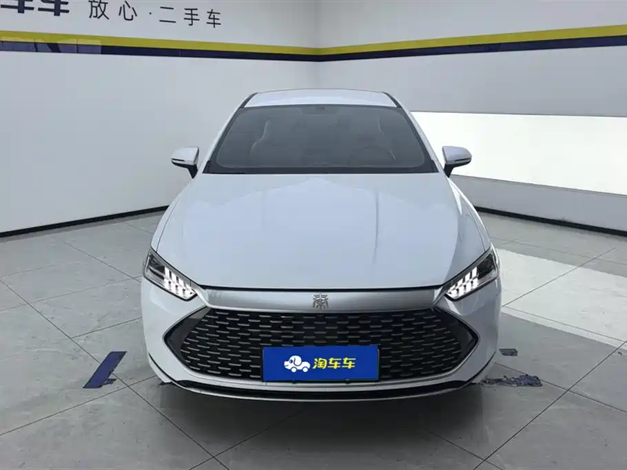 BYD Qin Plus PLUS 2024 DM-i 55KM Lead