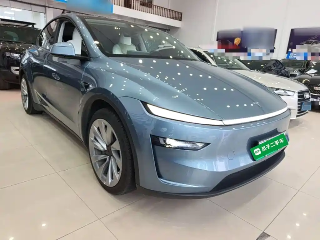 Tesla Model Y L — миниатюра 4