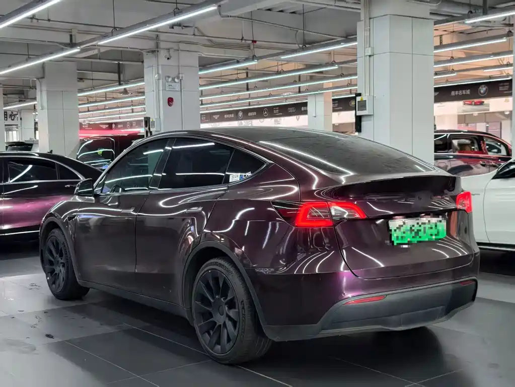 Tesla Model Y — миниатюра 9
