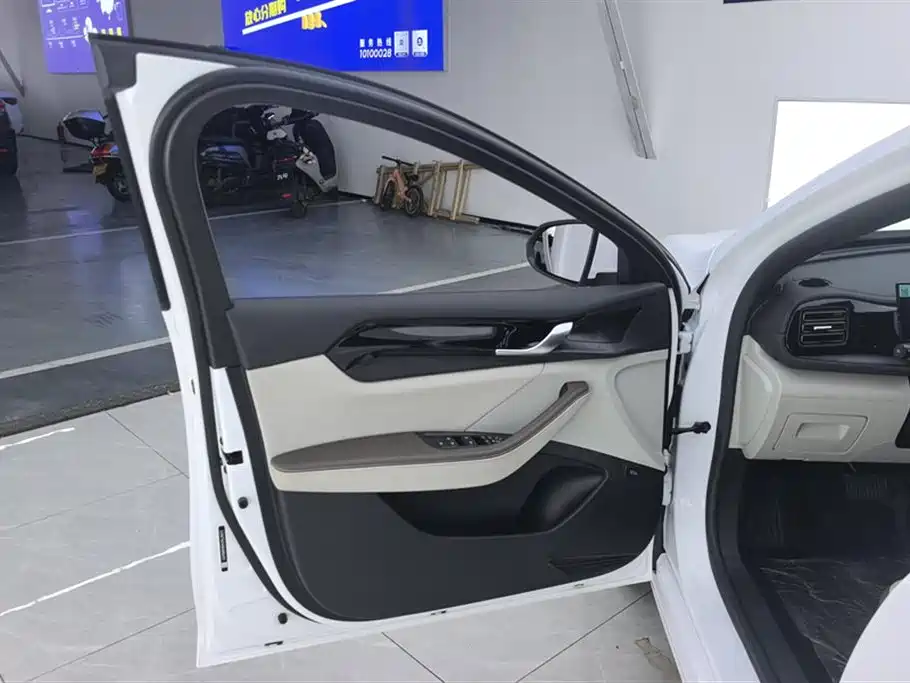 BYD Qin Plus PLUS 2024 DM-i 55KM Lead