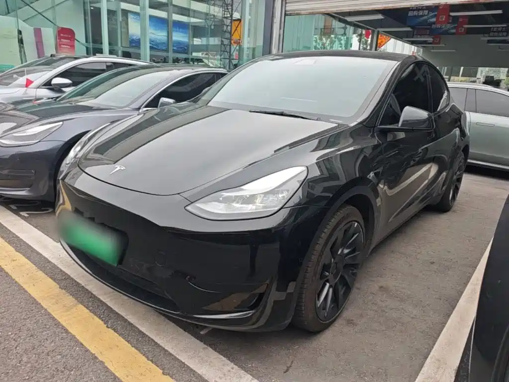 Tesla Model Y — миниатюра 2