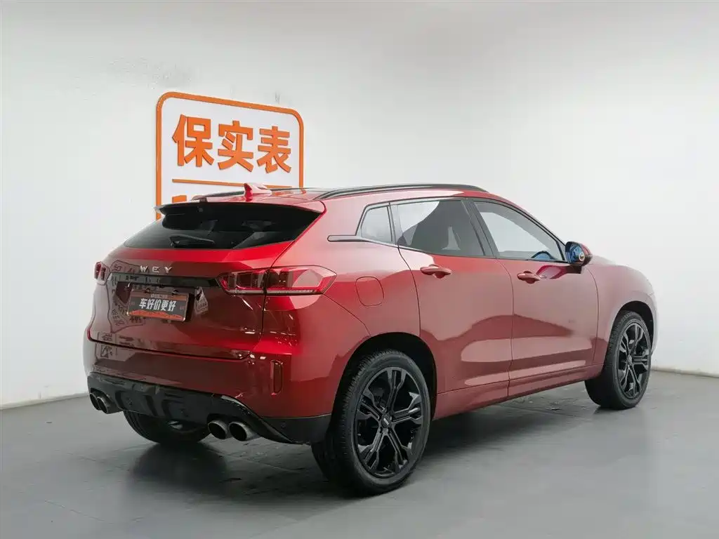 WEI PAI WEI BRAND VV7