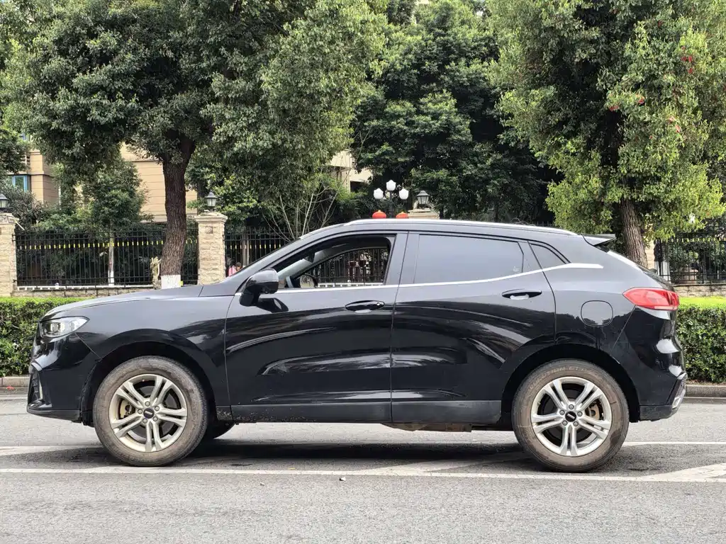 WEI PAI WEI BRAND VV5