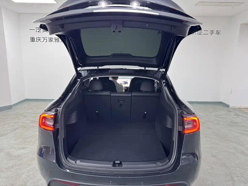 Tesla Model Y — миниатюра 18