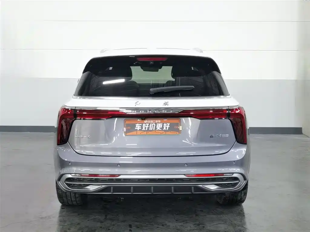 Hongqi E-HS9 2021 510km мест