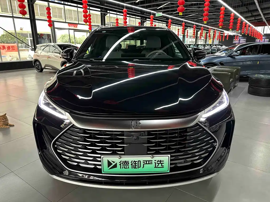 BYD Tang New Energy — миниатюра 2